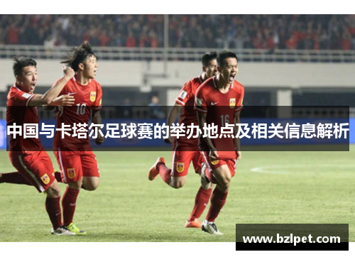 中国与卡塔尔足球赛的举办地点及相关信息解析