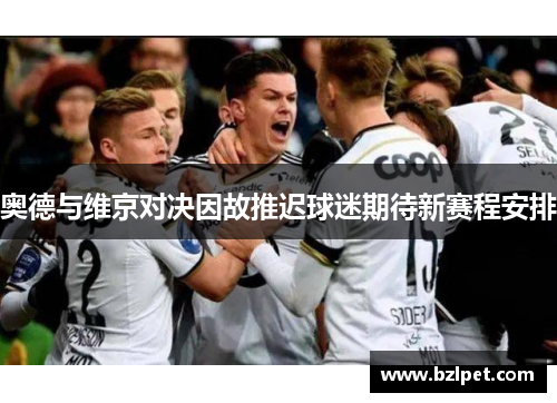 奥德与维京对决因故推迟球迷期待新赛程安排