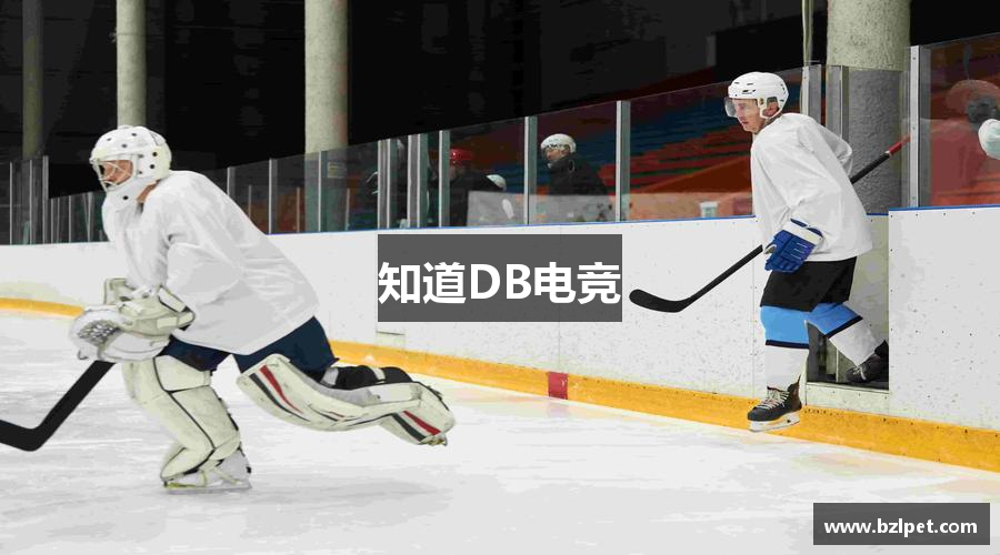 知道DB电竞